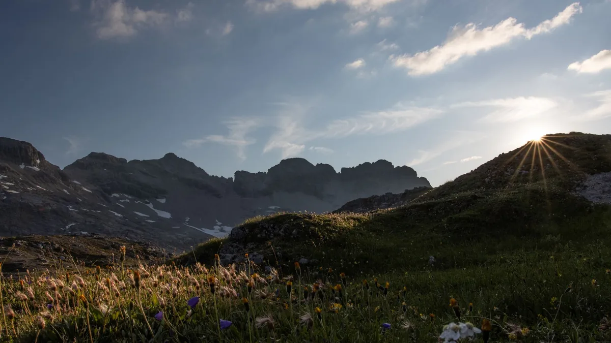 Beautiful sunrise over a wildflower-filled mountain meadow with rugged peaks in the background.