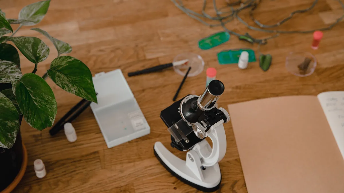 A neatly arranged scientific workspace featuring a microscope, glass slides, and a plant.